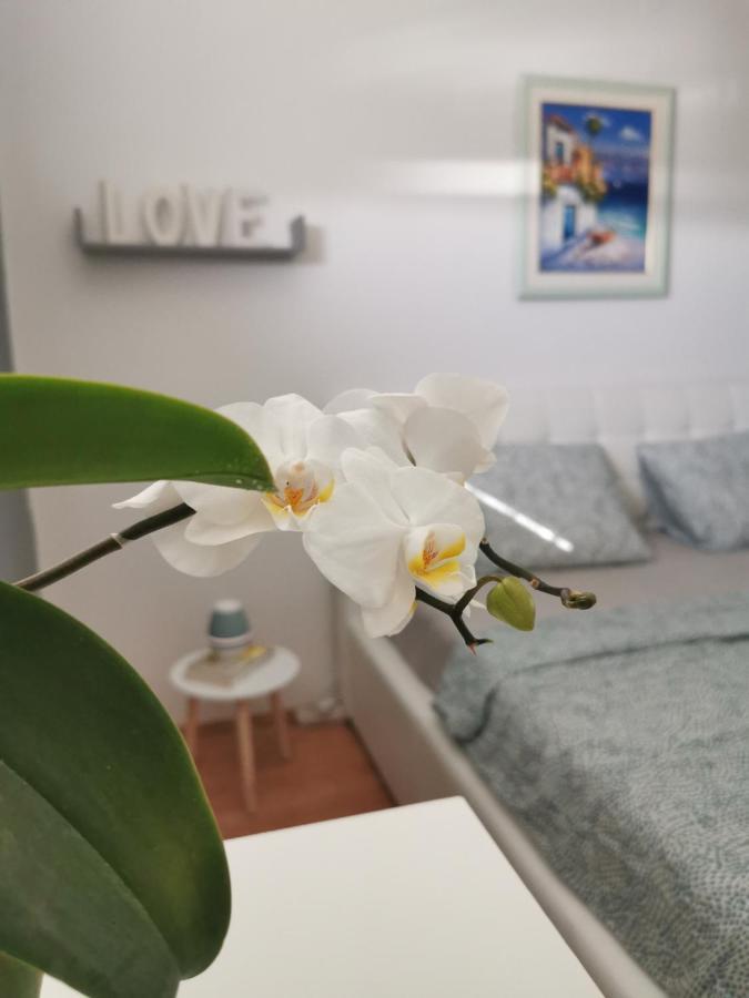 Kenzo Apartment Сень Экстерьер фото